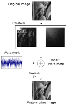 img-nocenter